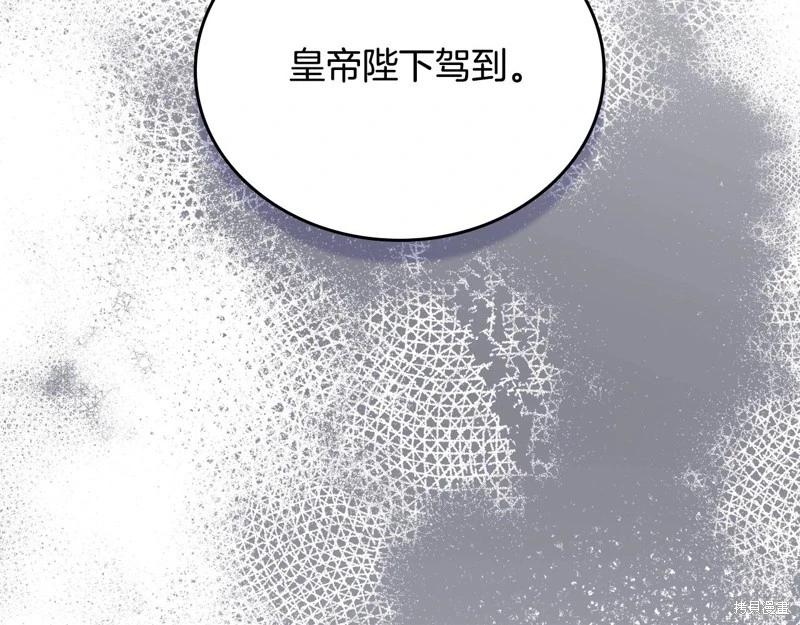 第 236 页