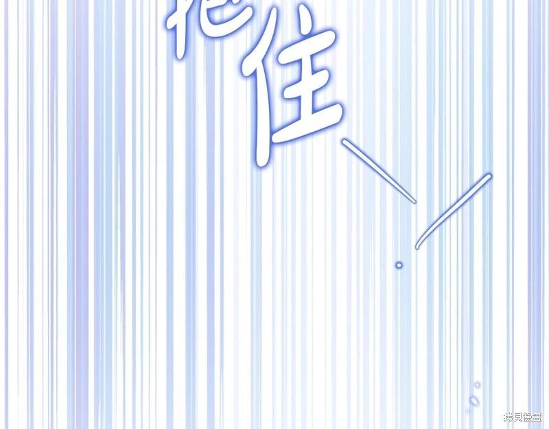 第 242 页
