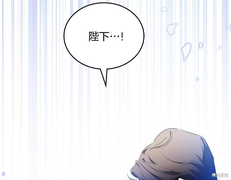第 243 页