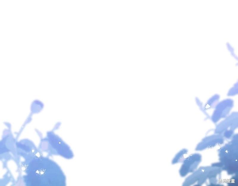 第 258 页