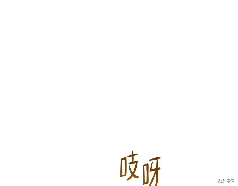 第 239 页
