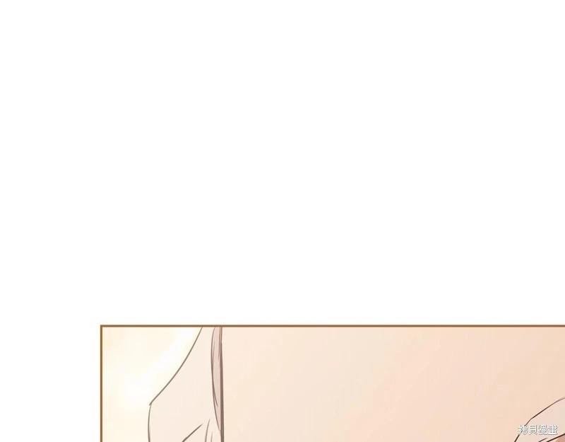 第 262 页