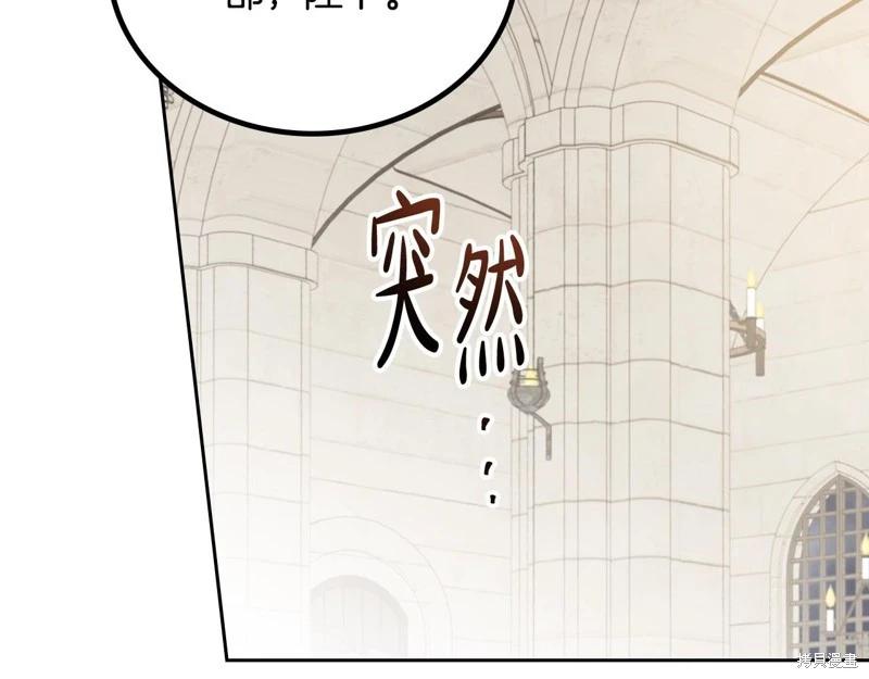 第 111 页