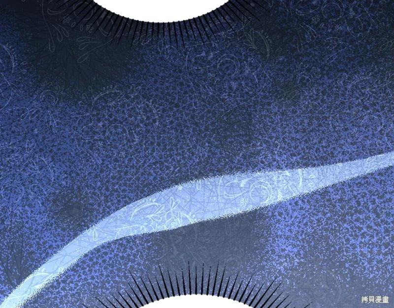 第 213 页