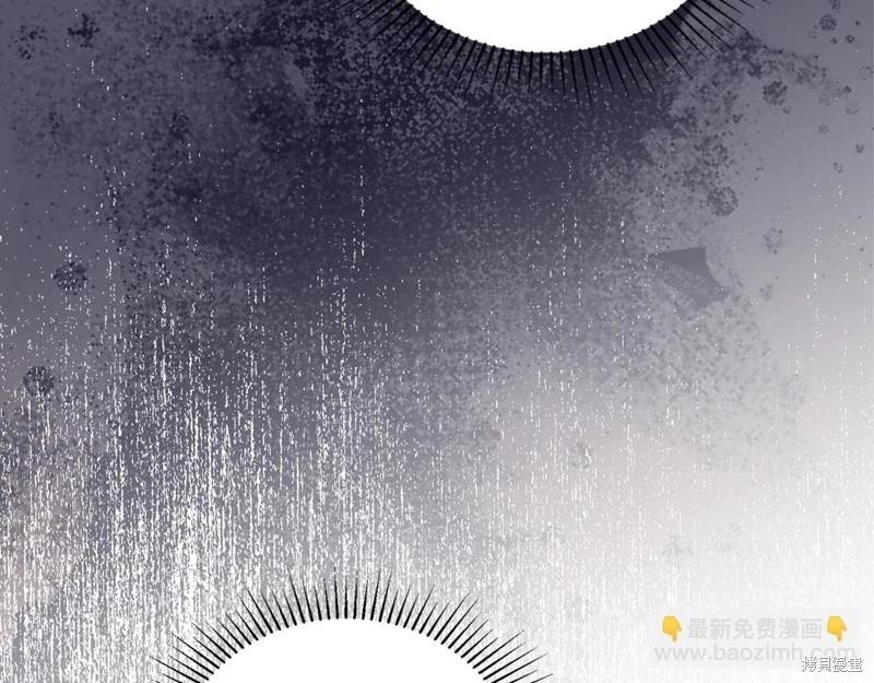 第 223 页