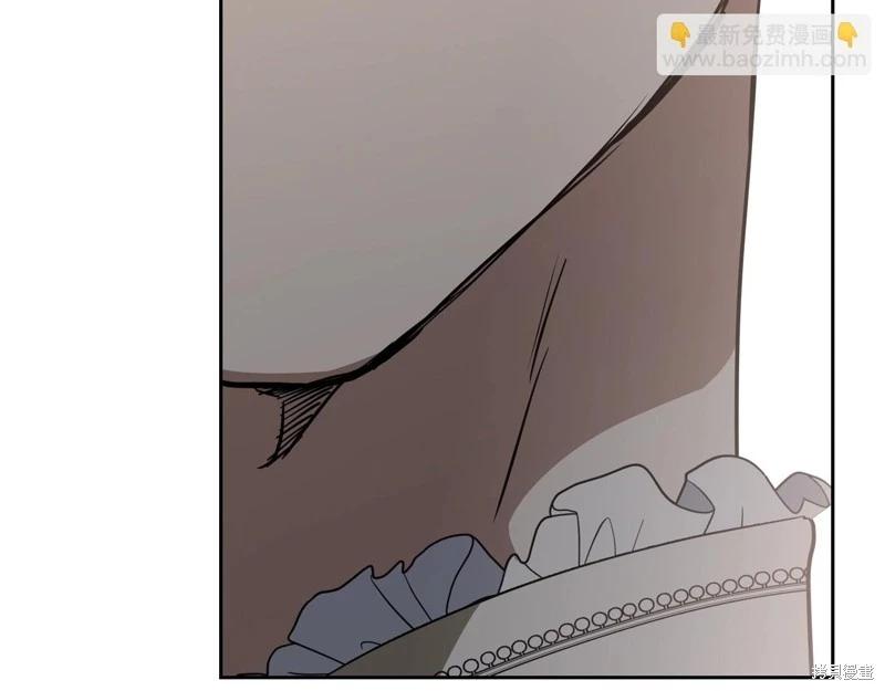 第 233 页