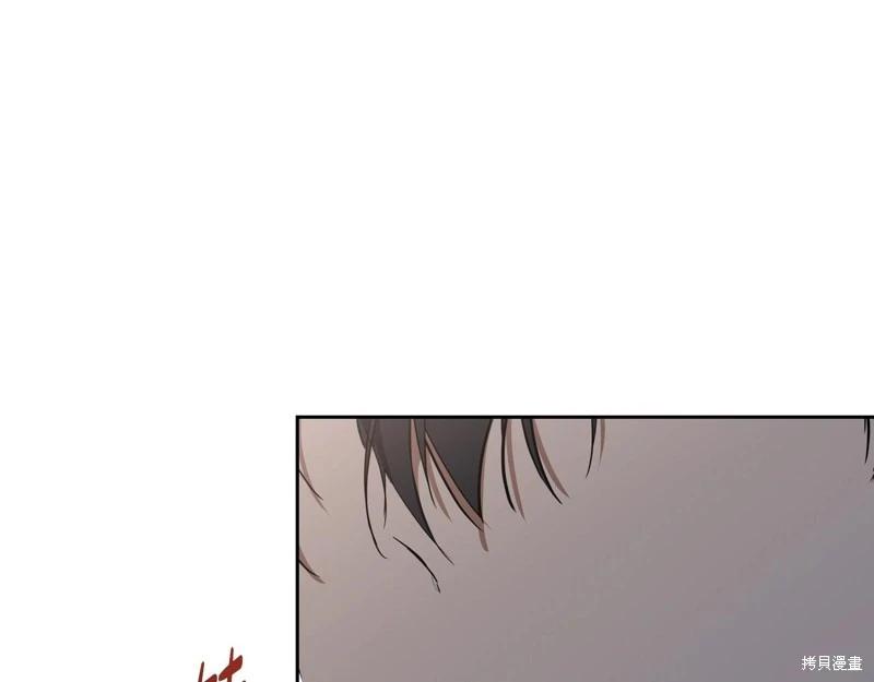 第 243 页