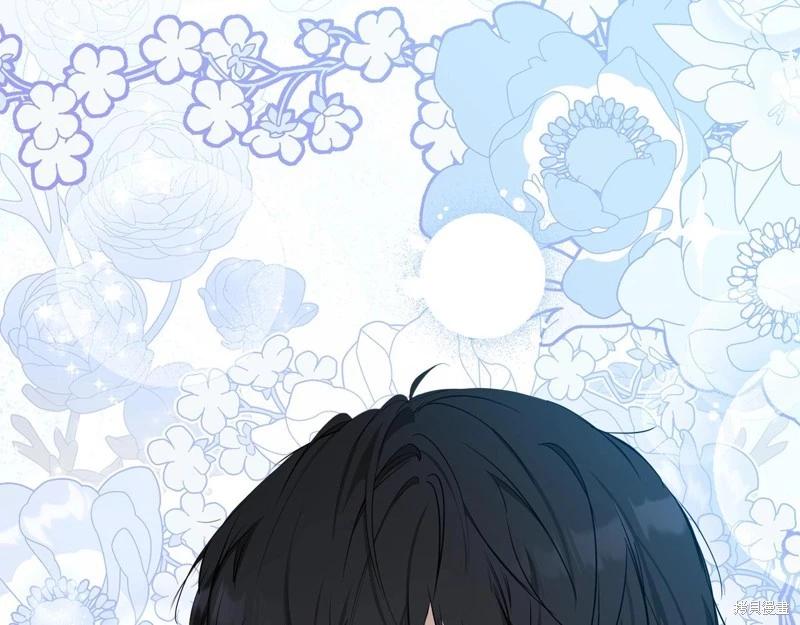 第 246 页