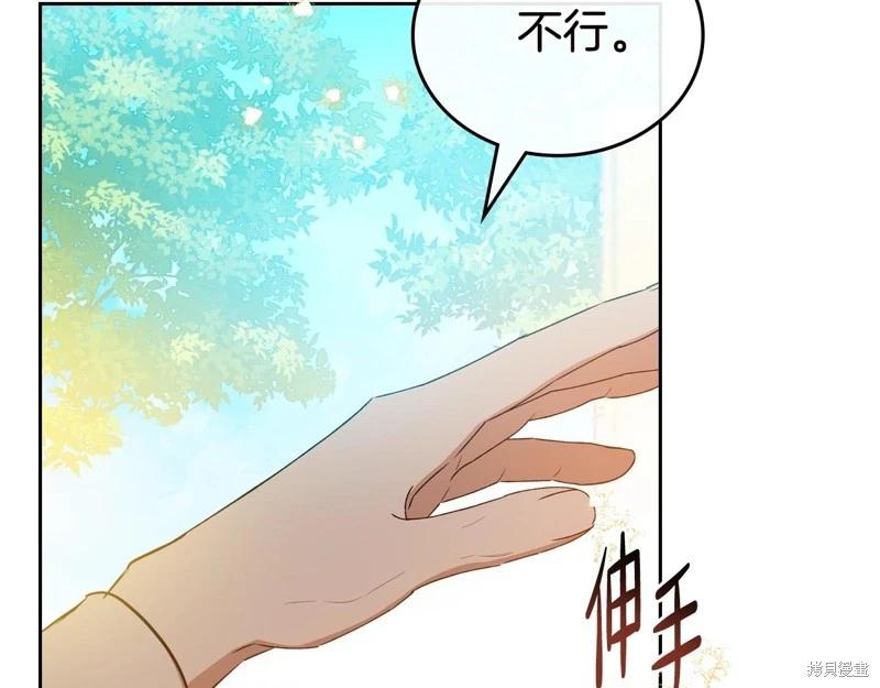 第 117 页