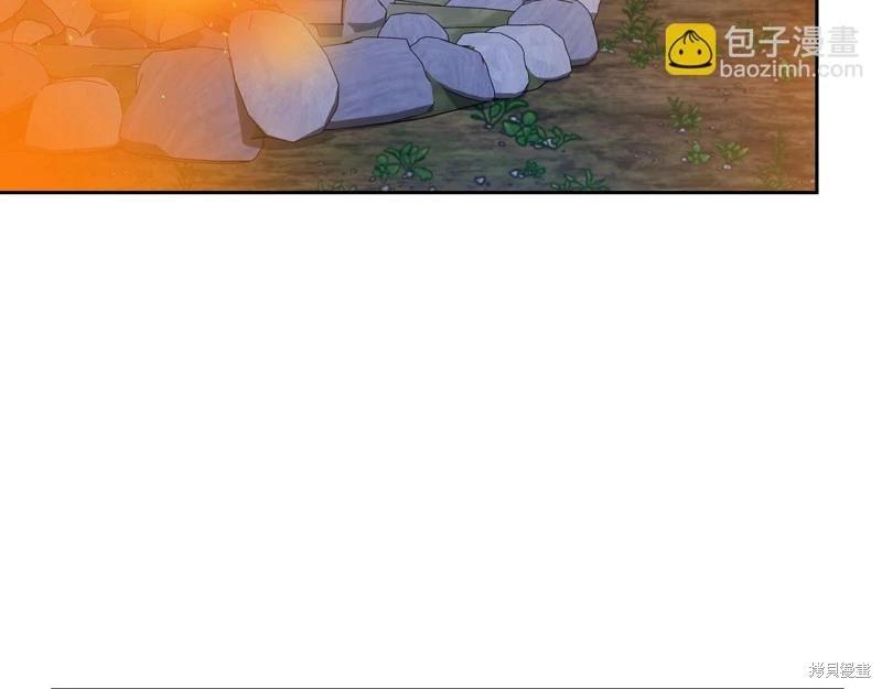第 146 页
