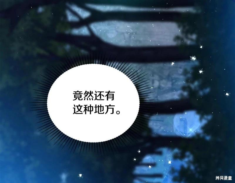 第 191 页