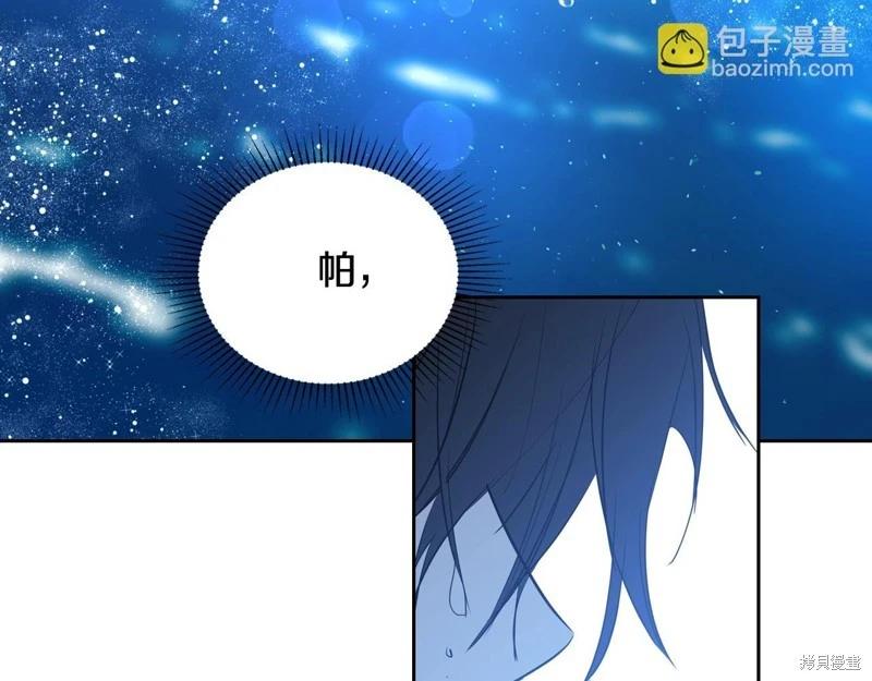 第 204 页