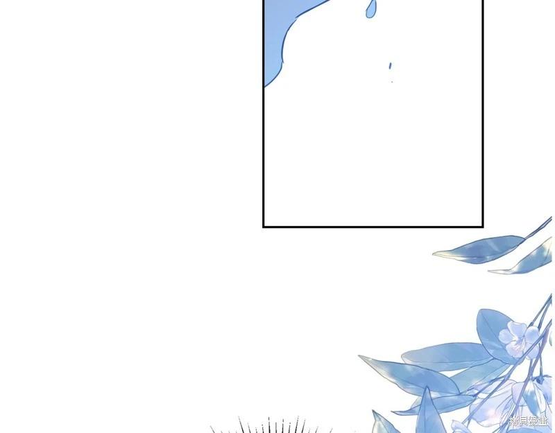第 205 页