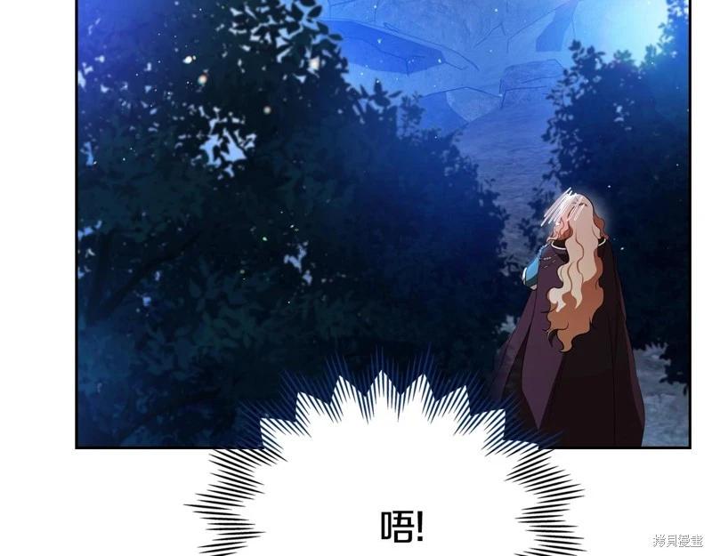 第 213 页