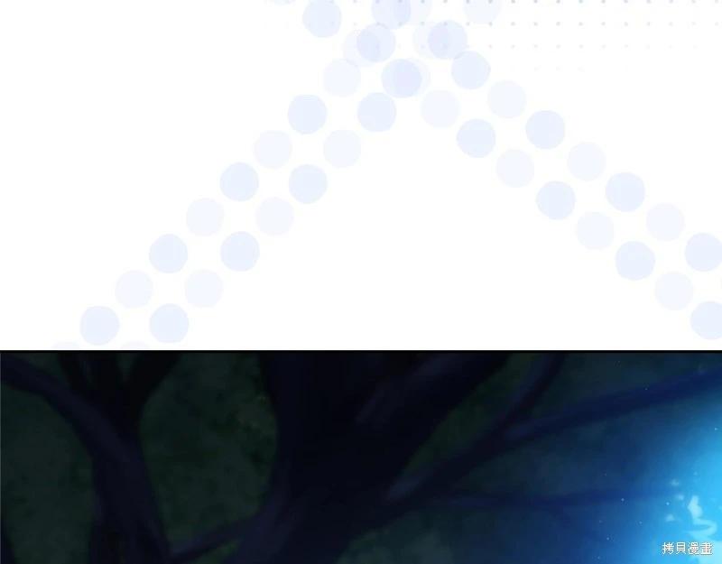 第 219 页