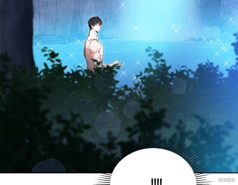 第 221 页