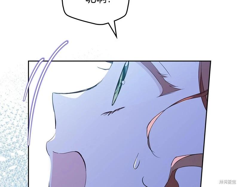 第 235 页