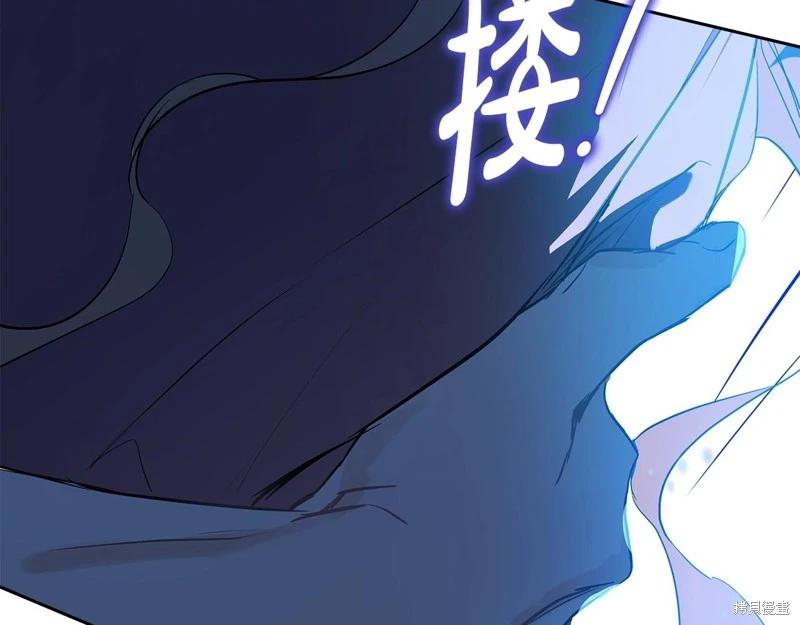 第 238 页