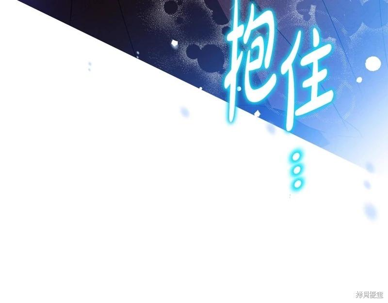 第 243 页