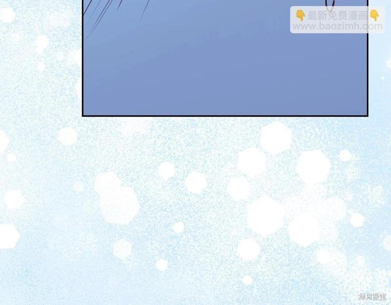 第 251 页