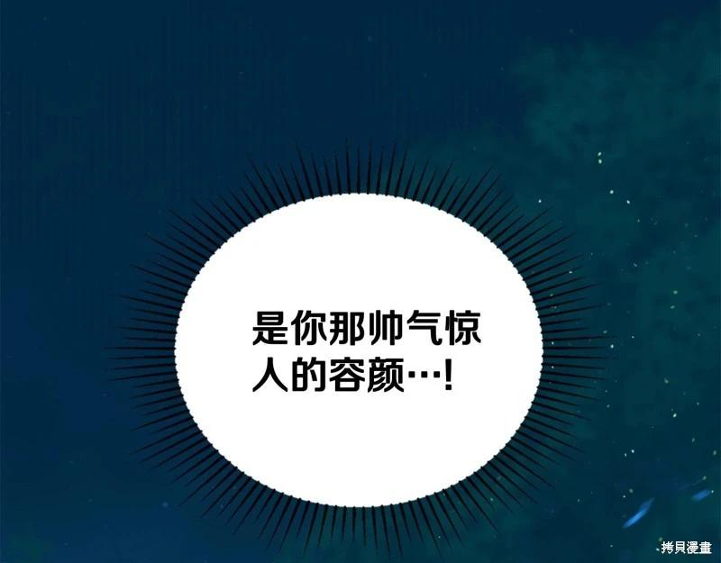 第 255 页