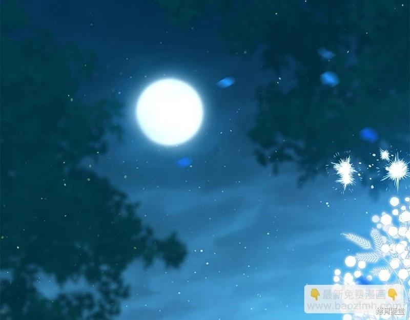第 256 页