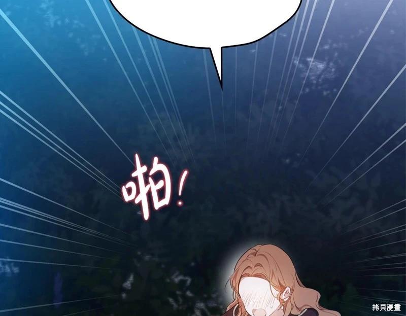 第 101 页
