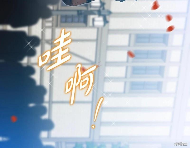 第 123 页