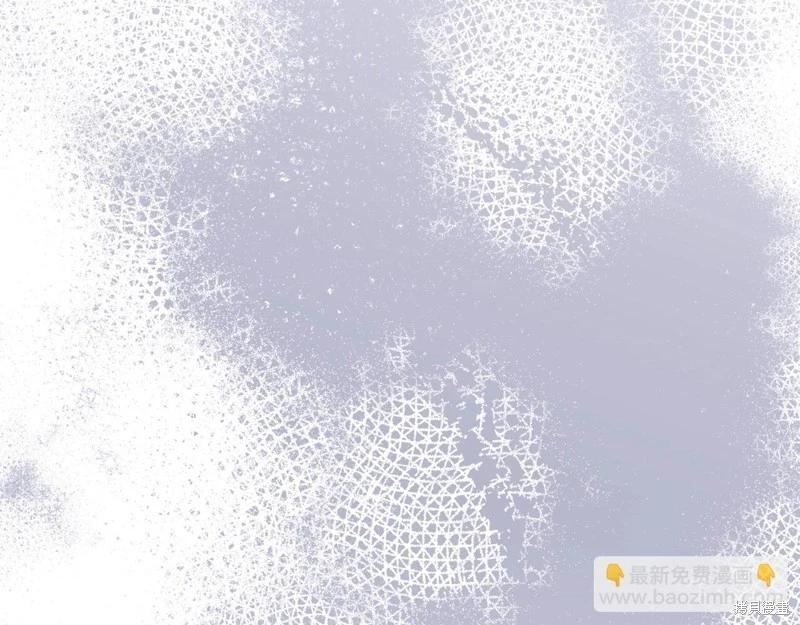 第 161 页