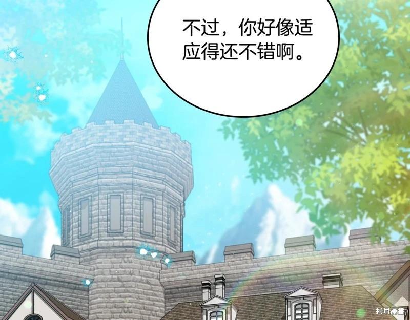 第 229 页