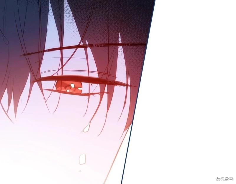 第 95 页