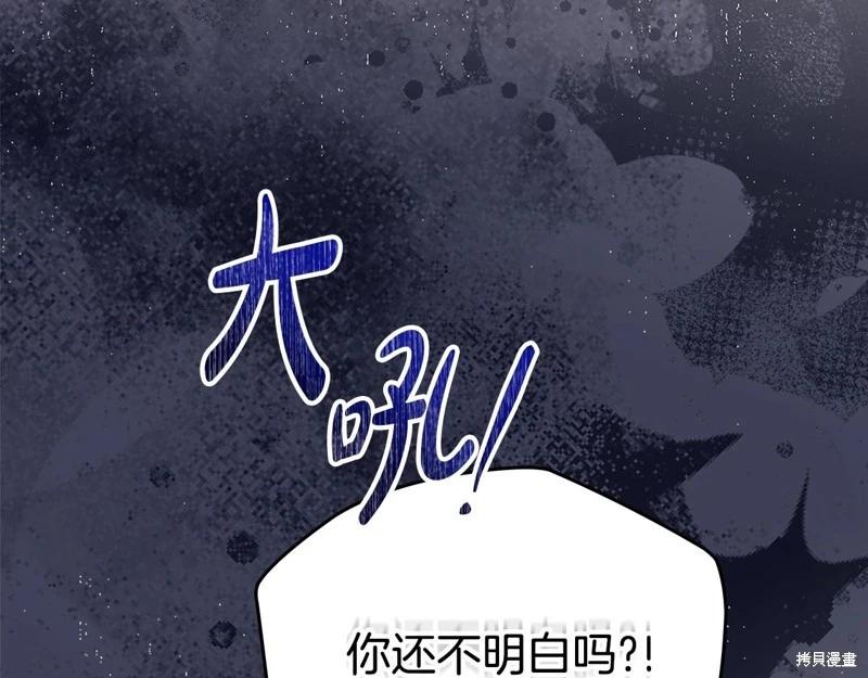 第 213 页