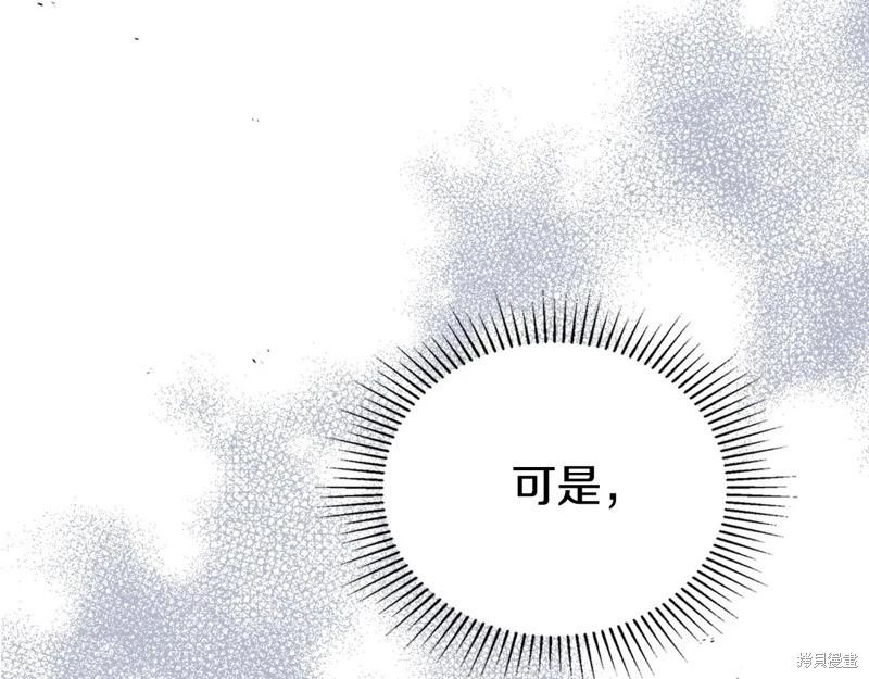 第 248 页