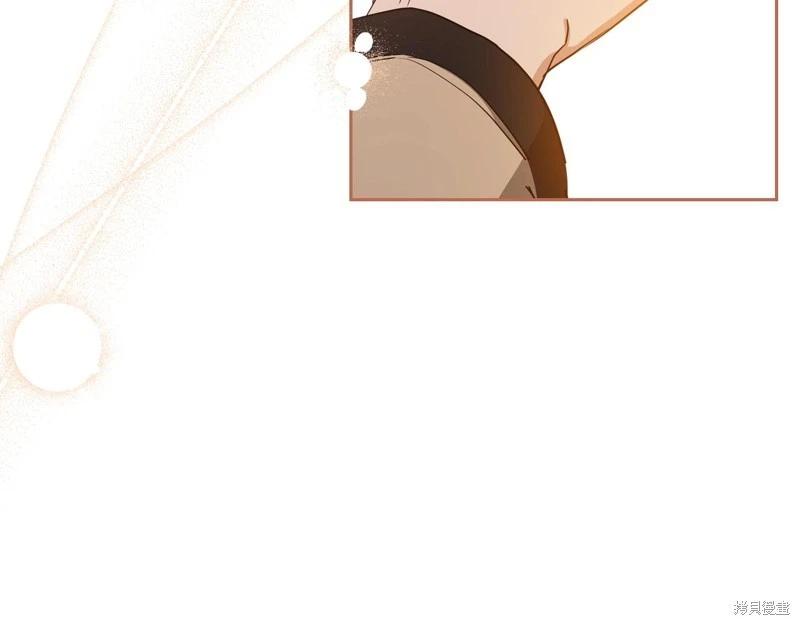 第 113 页
