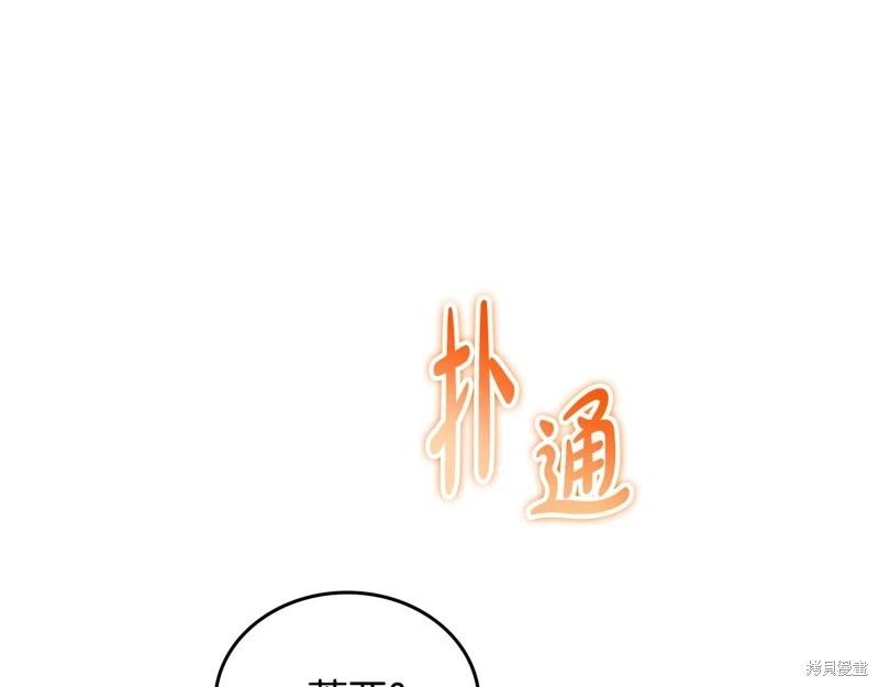 第 142 页