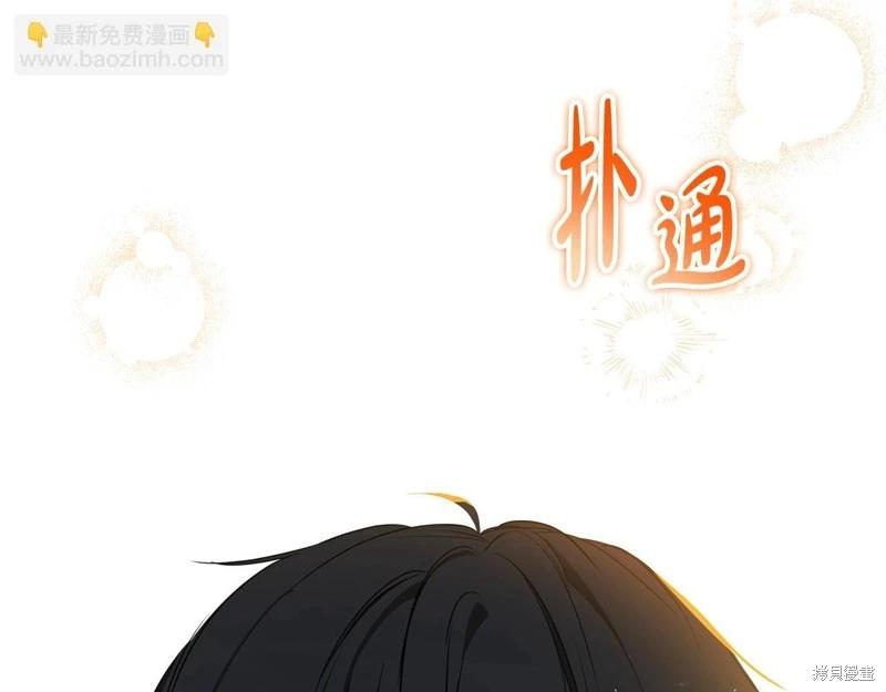 第 146 页