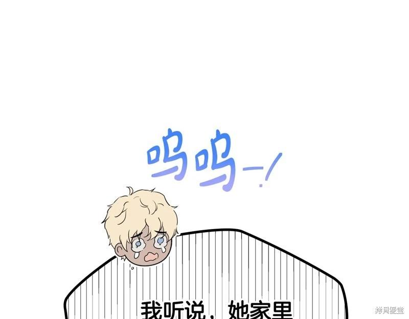 第 217 页