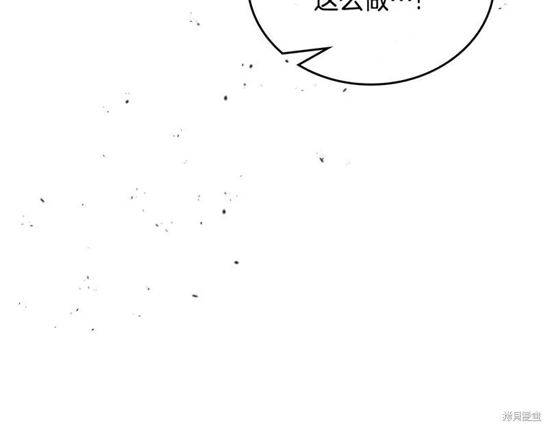 第 251 页