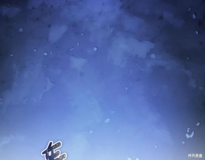 第 260 页