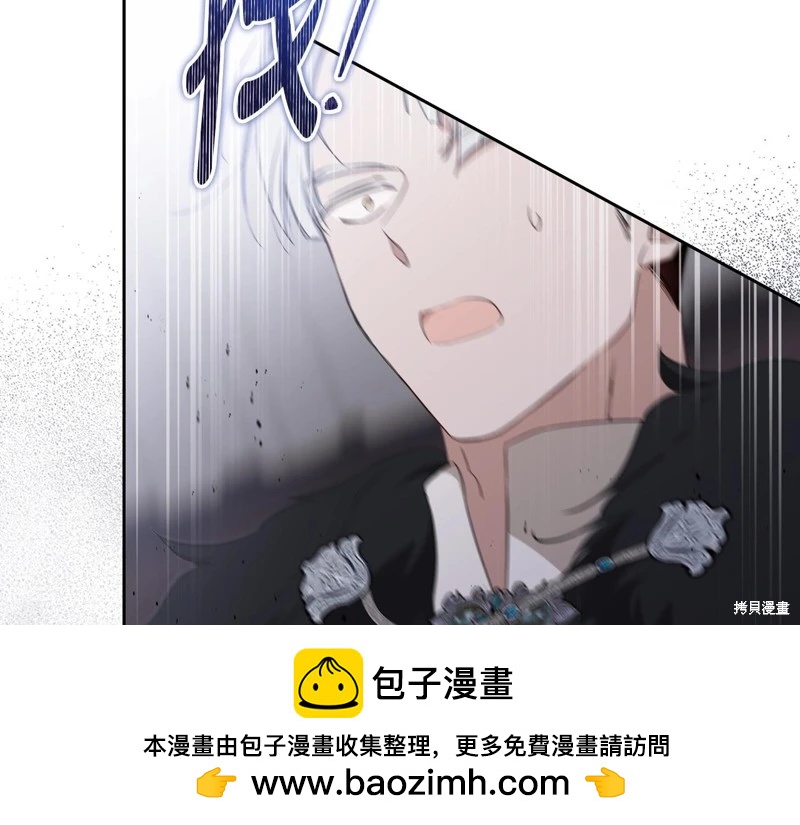 第 100 页