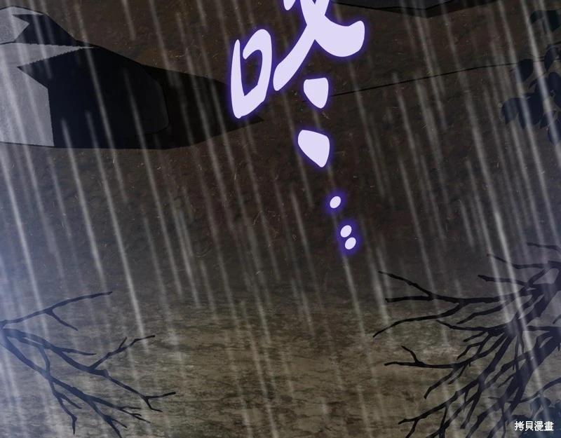第 163 页