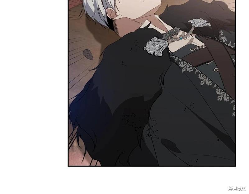 第 207 页