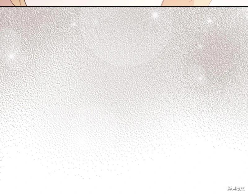 第 217 页