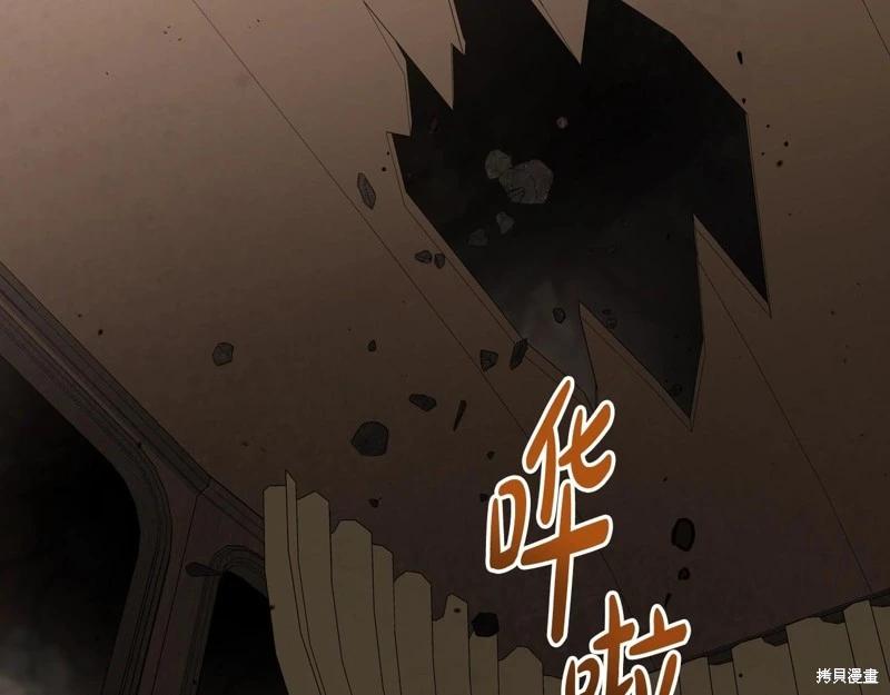 第 219 页