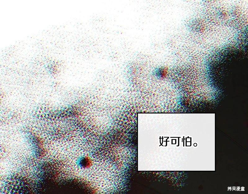 第 233 页