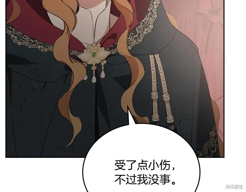 第 245 页