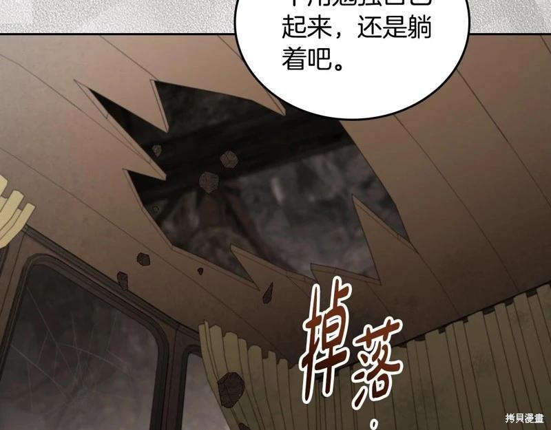 第 251 页