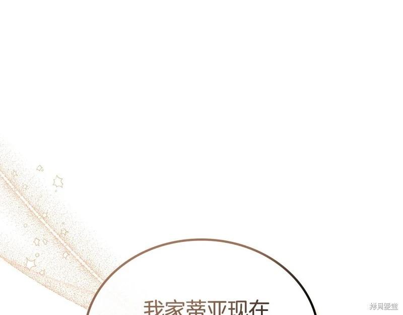 第 113 页