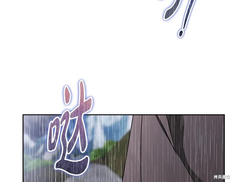 第 223 页