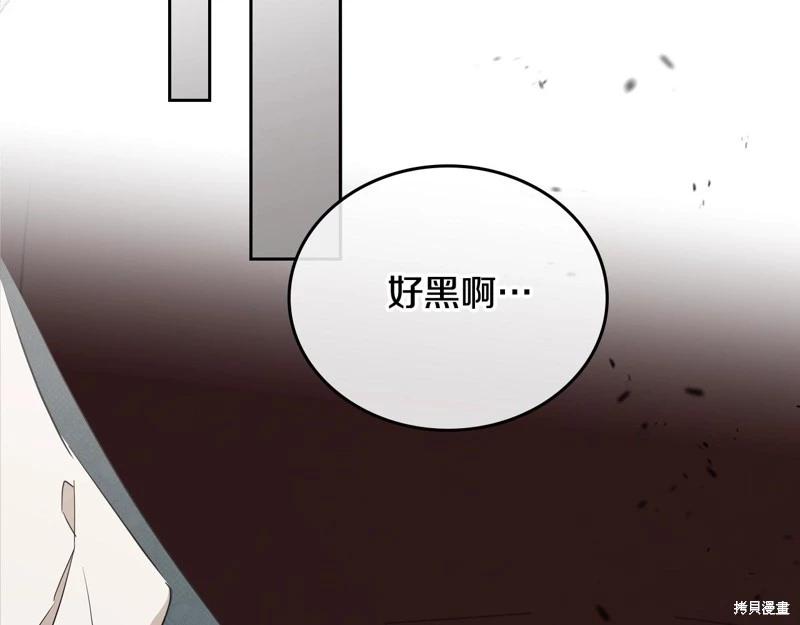 第 235 页